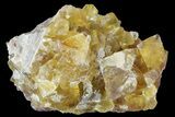 Lustrous Yellow Cubic Fluorite Crystal Cluster - Morocco #84243-1